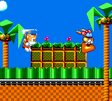 Tails' Skypatrol screenshot 3 for Sega Game Gear